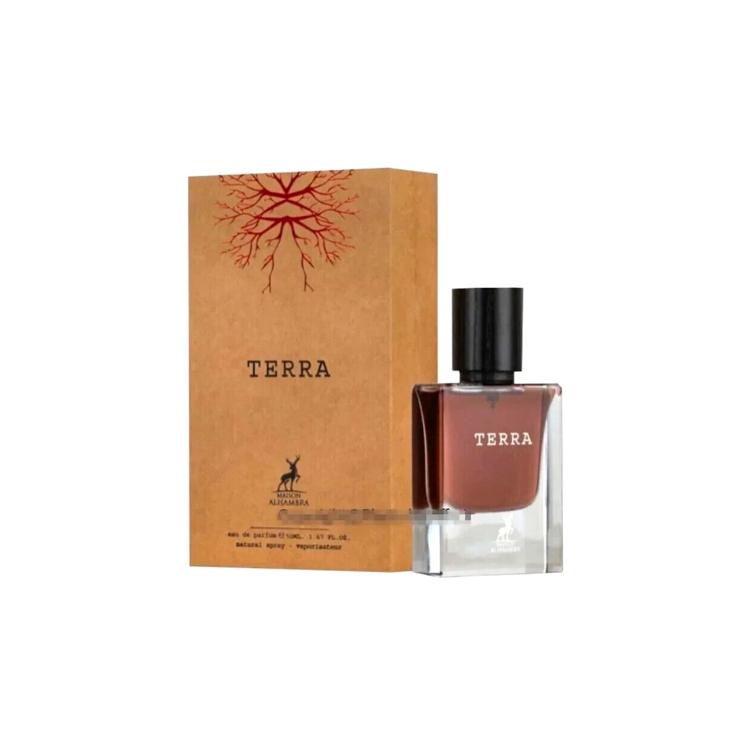 TERRA - Fragancias Colombia